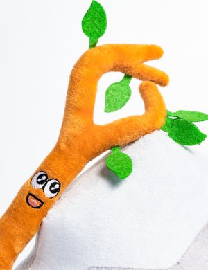 Baby Rocky n’ Sticky